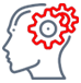 brain